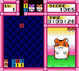 Hamster Club: Awasete Chu screenshot 2 for GameBoy Color